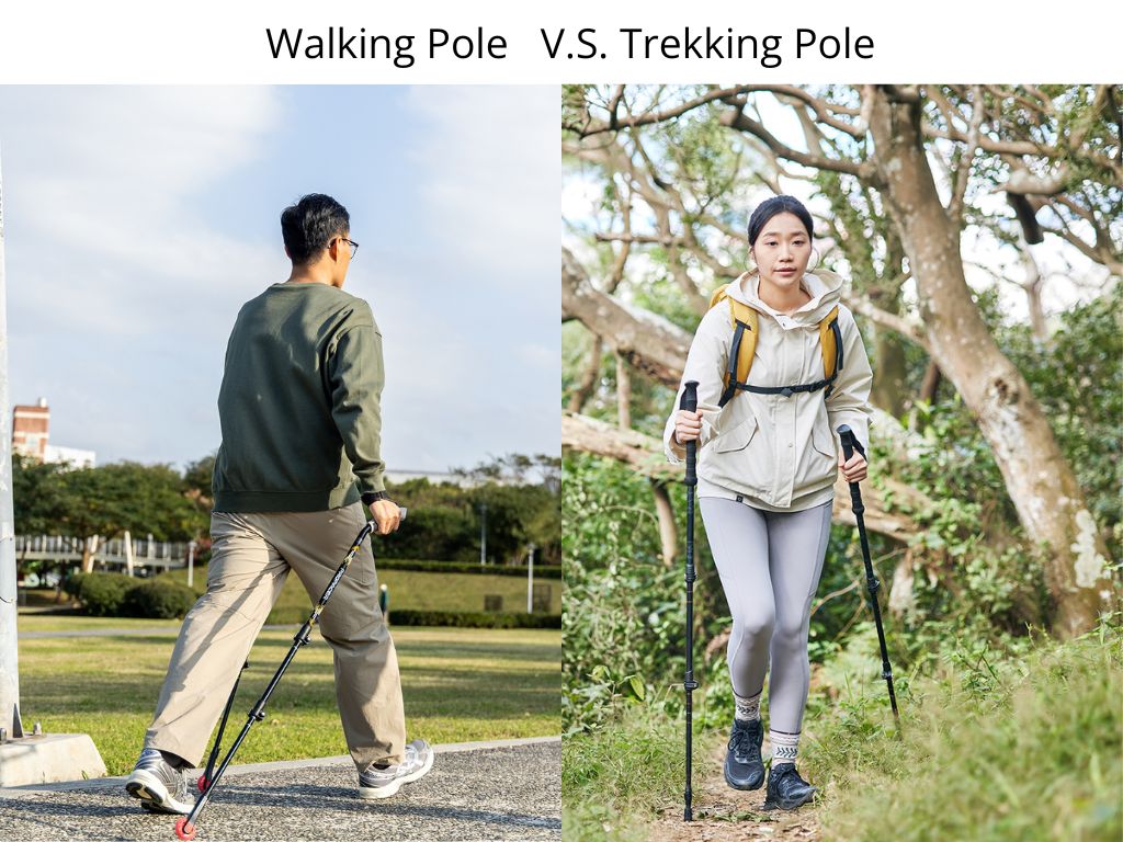 walking poles on paved road